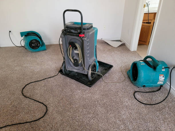 Best Water damage cleanup near me  in Las Flores, CA