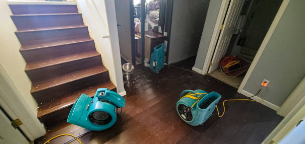 Best Flooded house restoration  in Las Flores, CA
