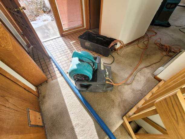 Best Basement water damage restoration  in Las Flores, CA