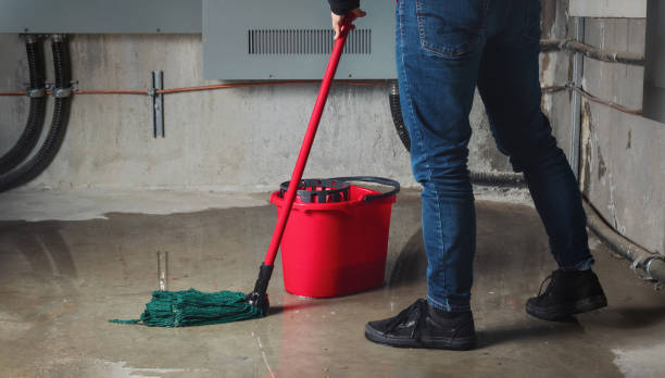 Best Water damage restoration process  in Las Flores, CA