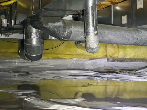 Best 24/7 water damage repair  in Las Flores, CA