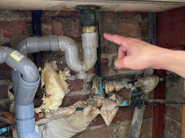 Best Residential water damage restoration  in Las Flores, CA