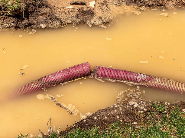 Sewage cleanup and water damage restoration in Las Flores, CA