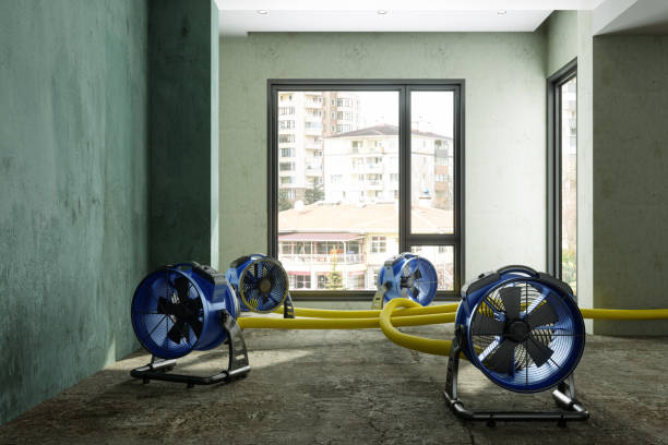 Best Sewage cleanup and water damage restoration  in Las Flores, CA