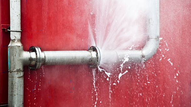 Best 24-hour water damage restoration  in Las Flores, CA